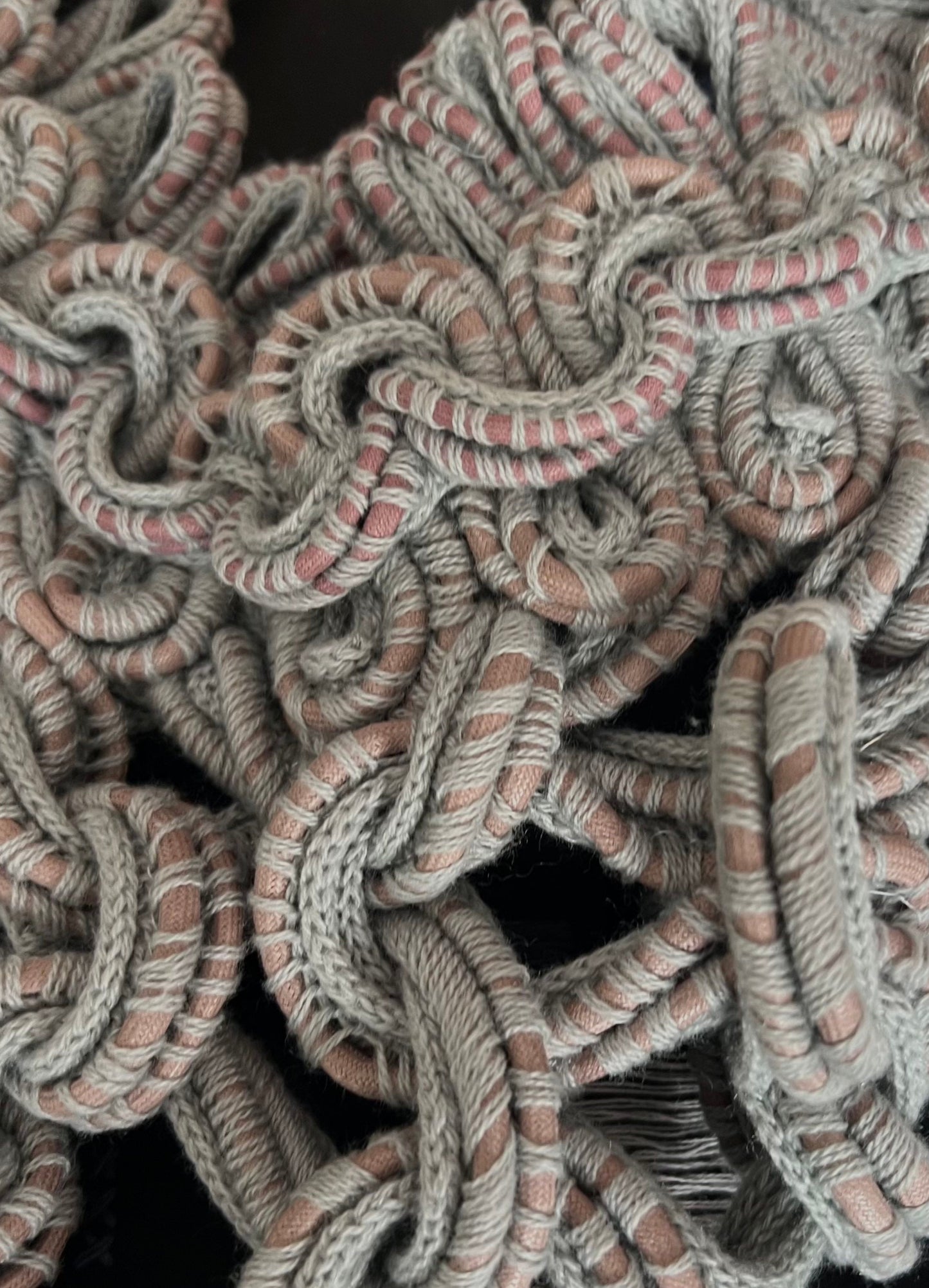 Viola by Derek Lawlor