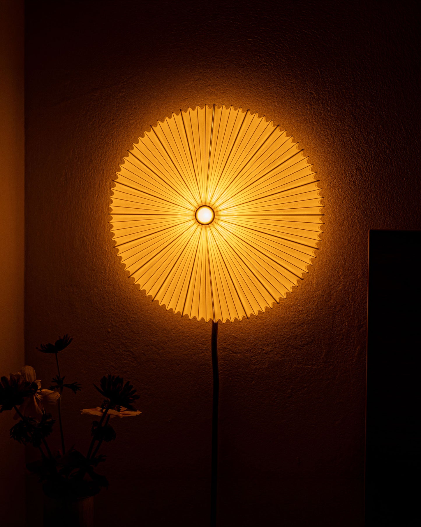 Mini Sombrilla Wall Lamp by Vicente Martinez | Studio Parenthesis