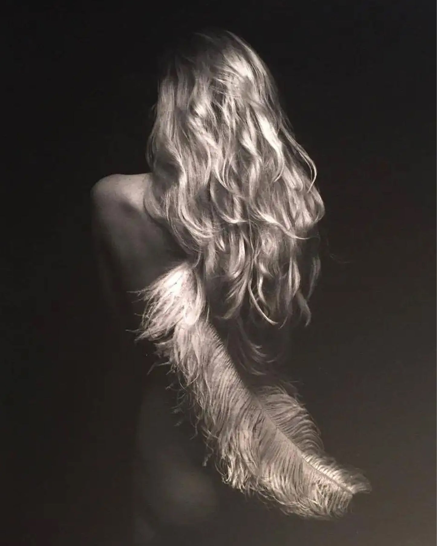 Ostrich Feather Tickler with O'Ring Choker" Necklace - Sterling Silver 925 by Betony Vernon