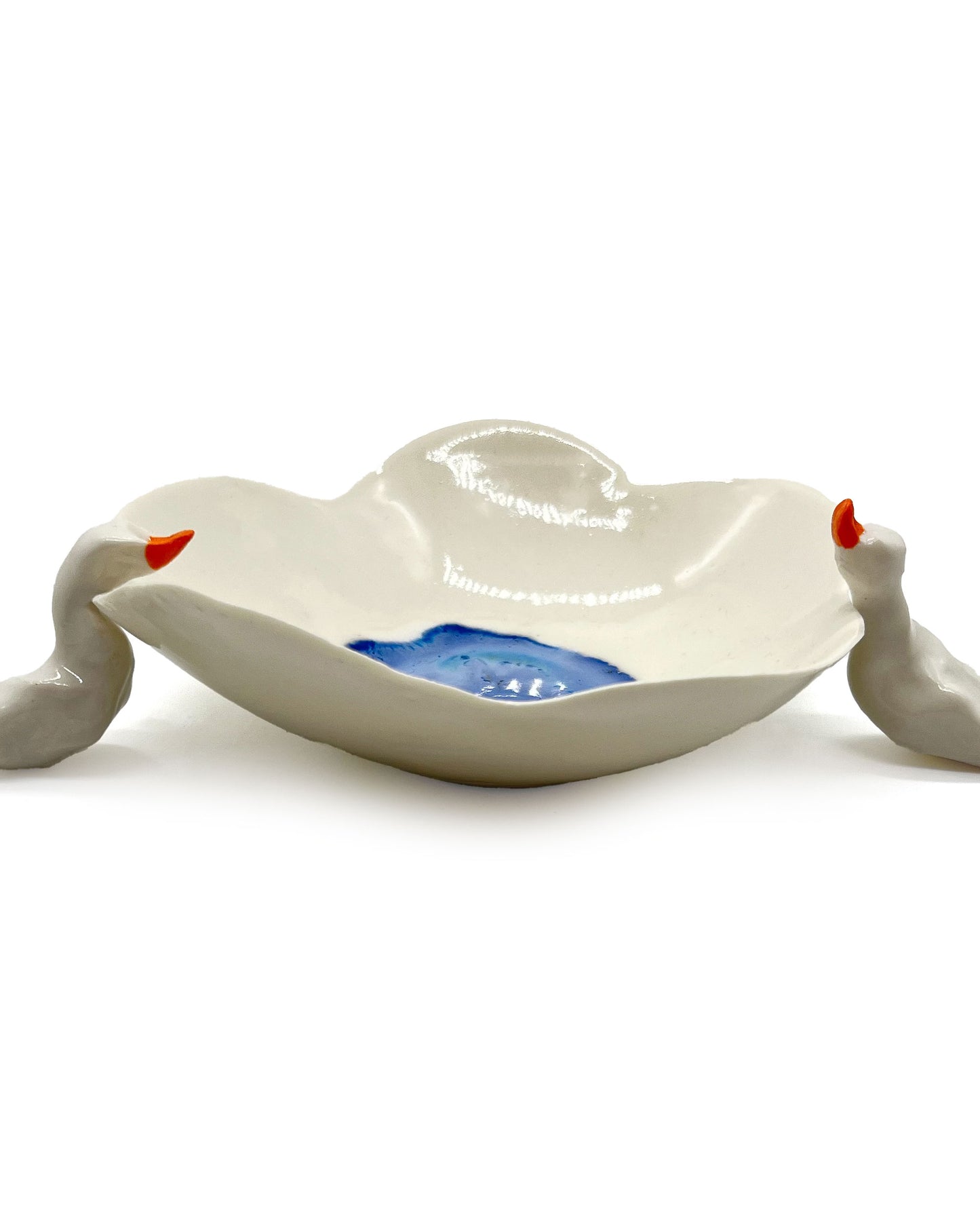 Pond Life by Nicky Backlund