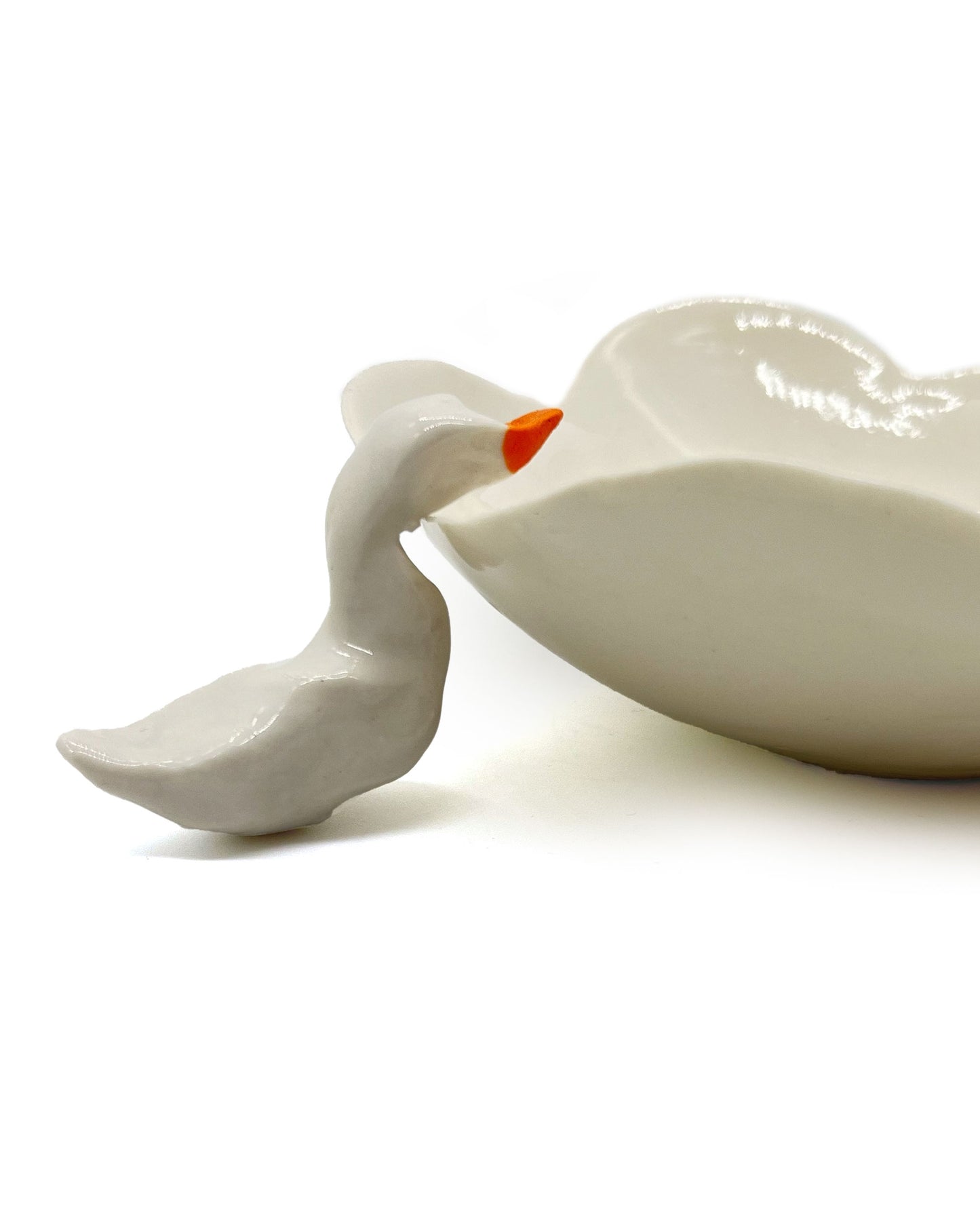 Pond Life by Nicky Backlund