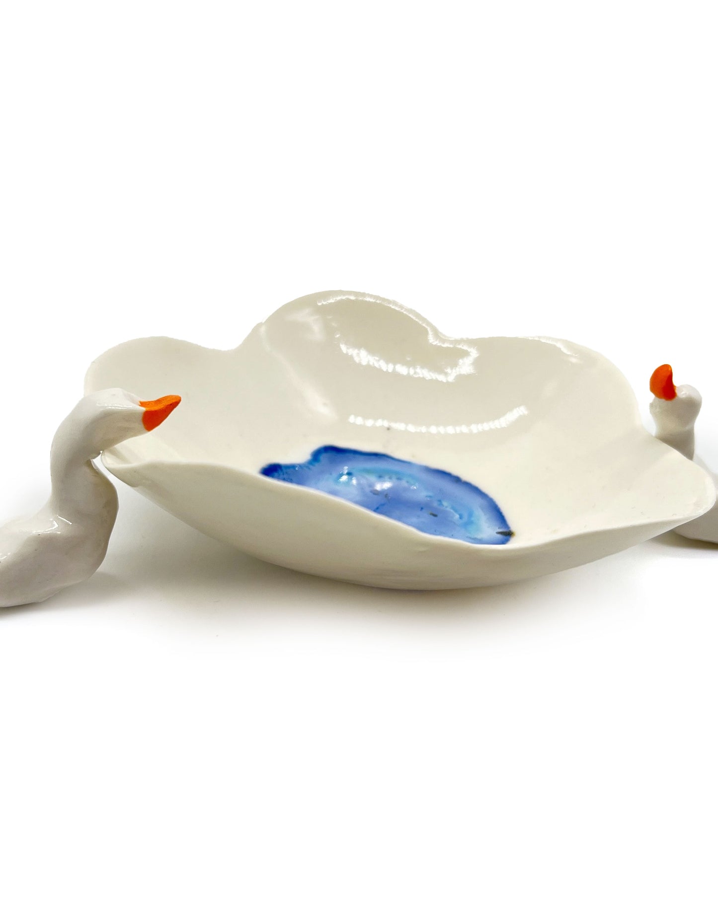 Pond Life by Nicky Backlund