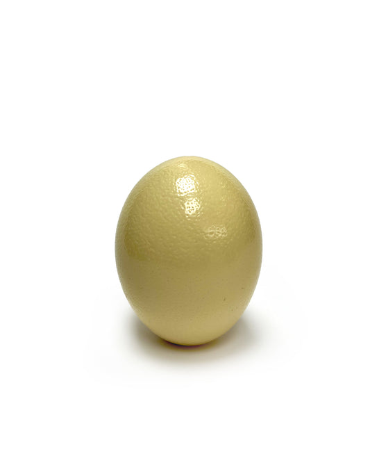 Ostrich Egg Door Stopper by Maison Martin Margiela Line 13 - Collector's Item
