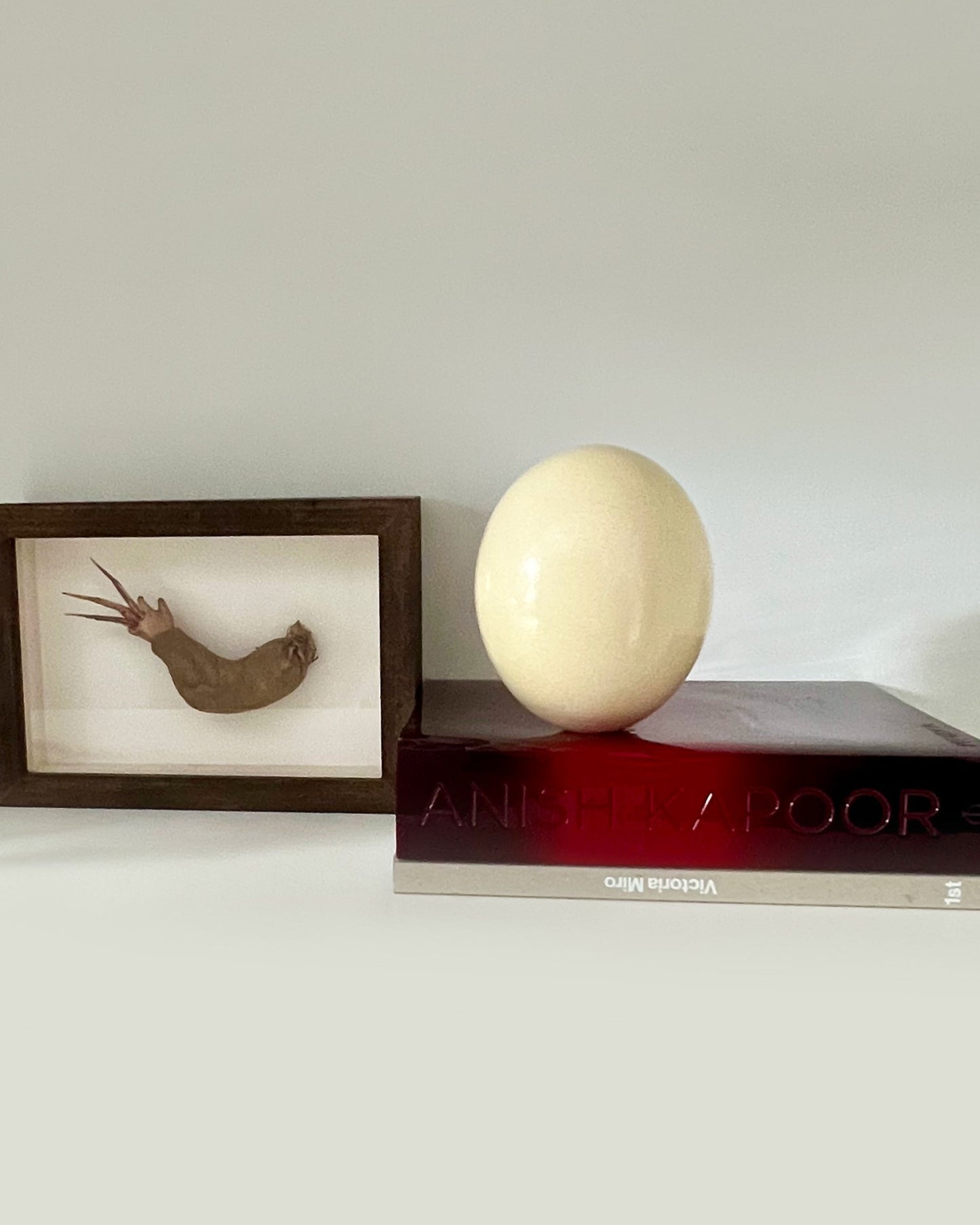 Ostrich Egg Door Stopper by Maison Martin Margiela Line 13 - Collector's Item