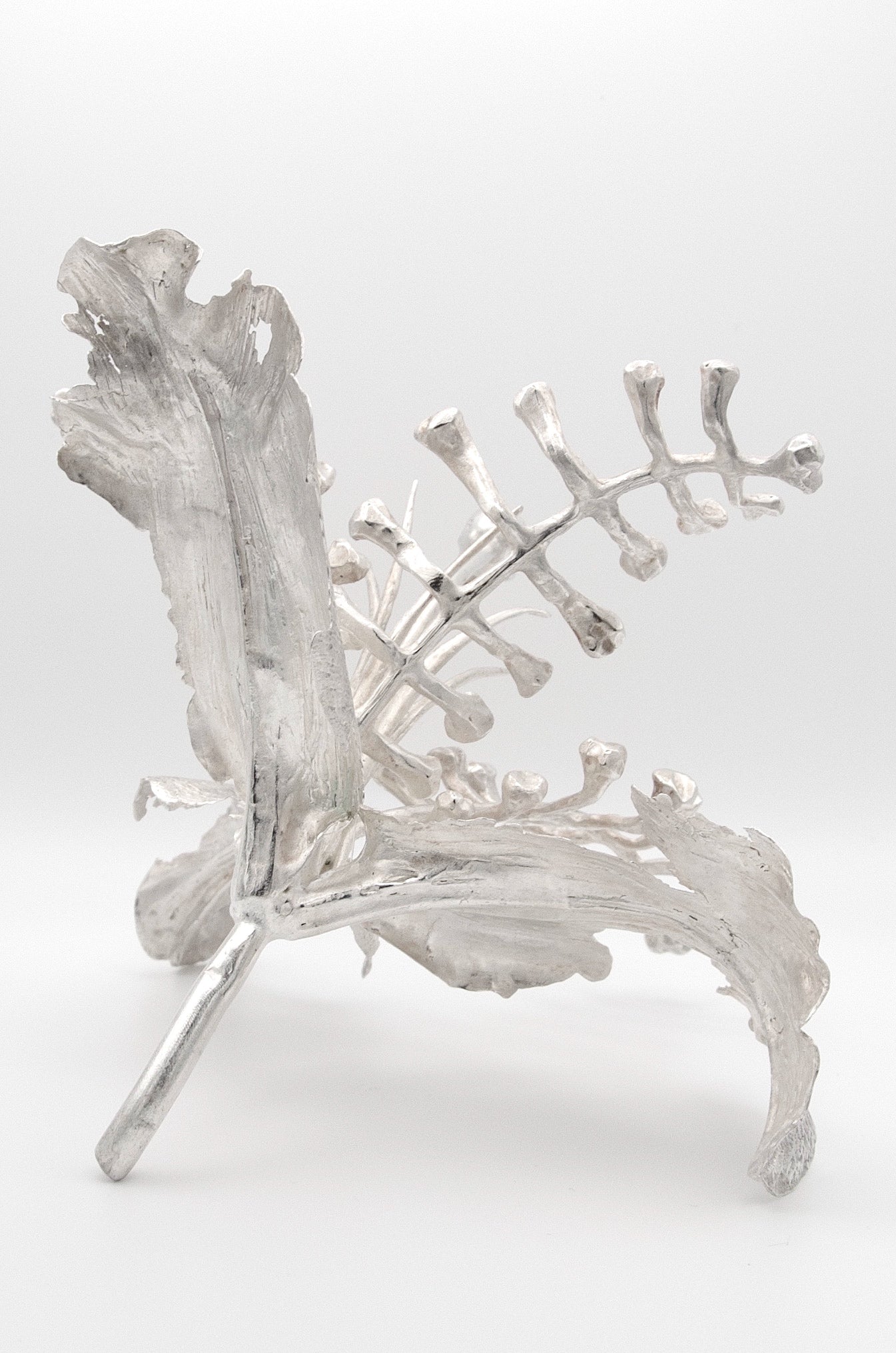 Casablanca Skeleton by Una Lo