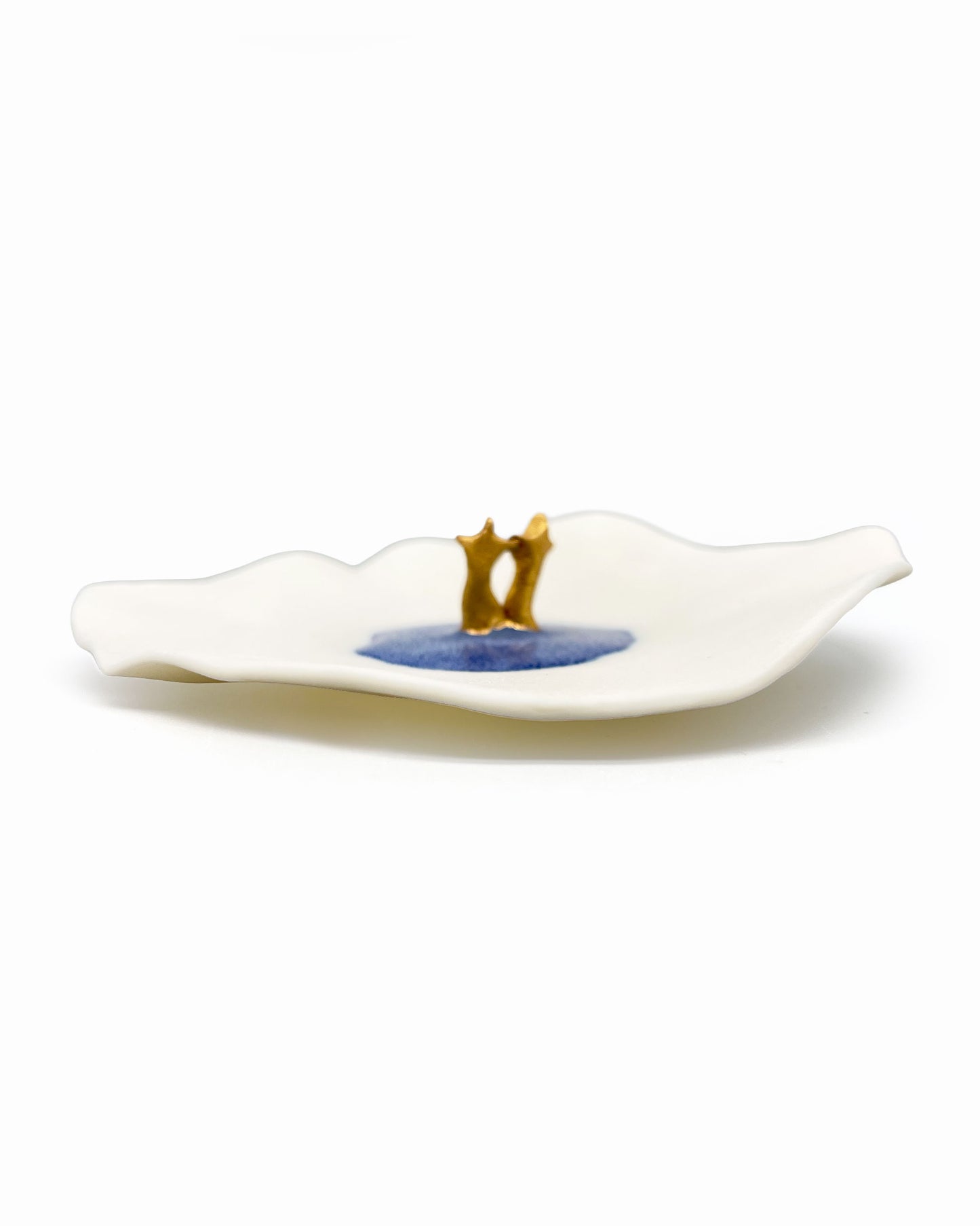 Golden Toes Porcelain Bowl by Nicky Backlund