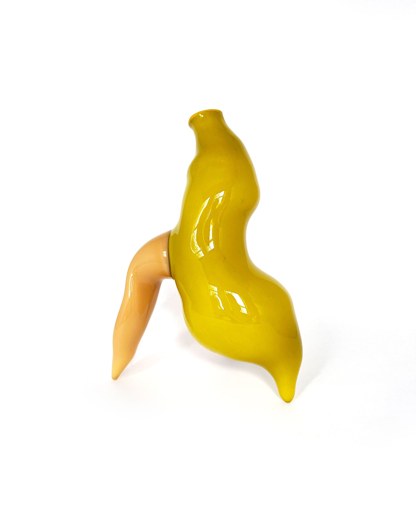 Organic Vase 2 by Jochen Holz