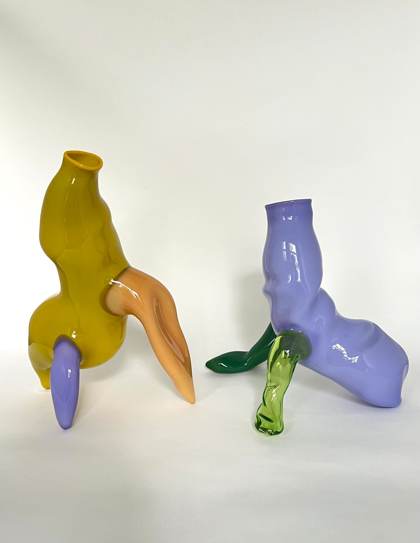 Organic Vase 2 by Jochen Holz