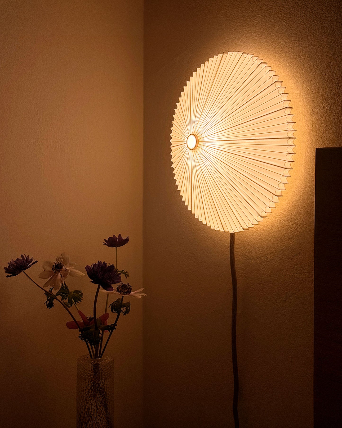 Mini Sombrilla Wall Lamp by Vicente Martinez | Studio Parenthesis