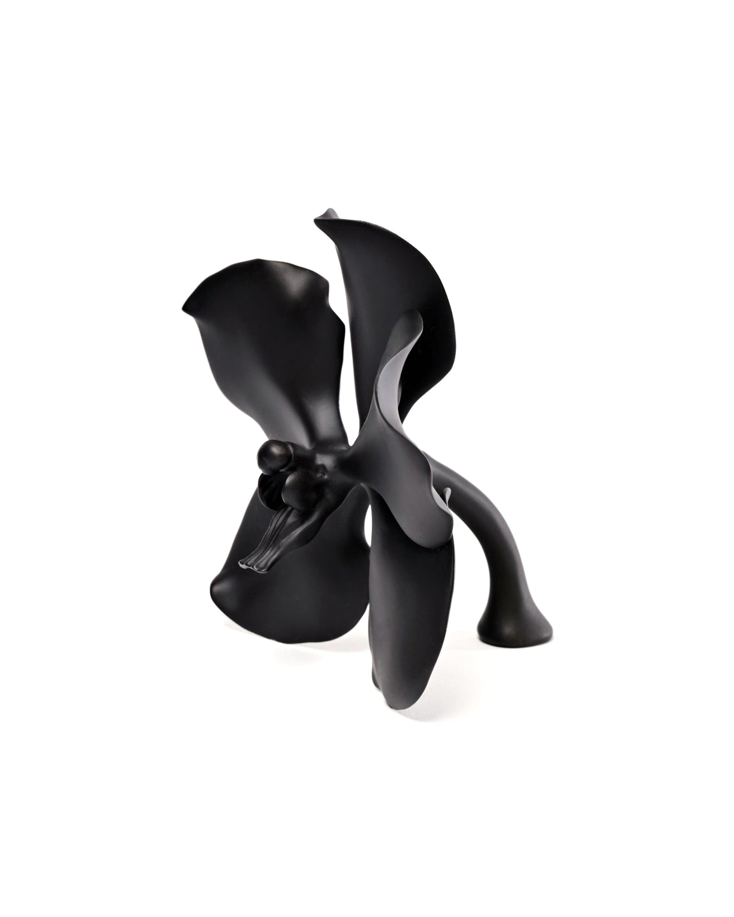 Black Orchid by Valdes Designs