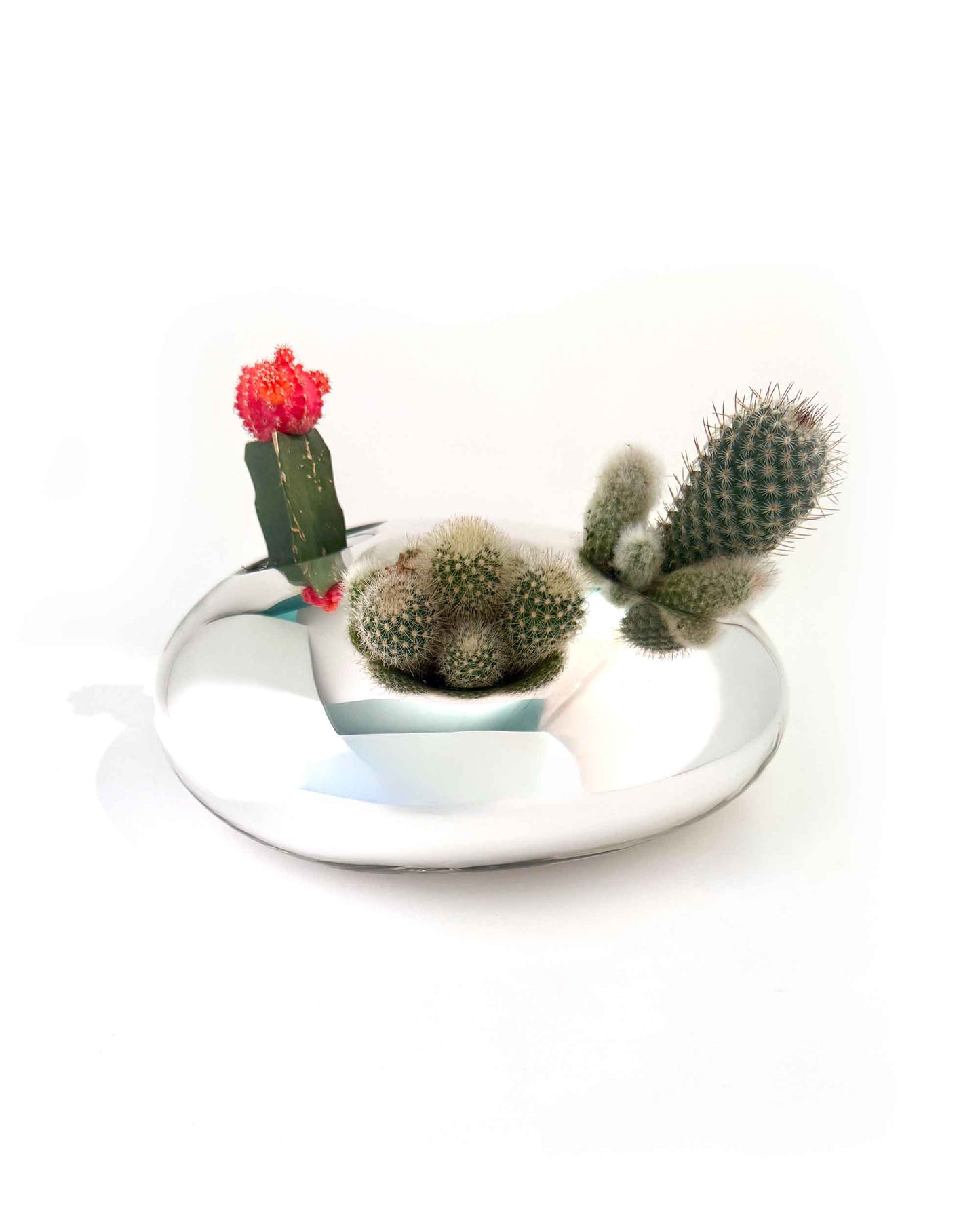 "Drops" Cactus Vase 3 by Arik Levy for Verreum