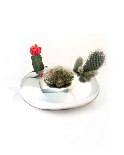 "Drops" Cactus Vase 3 by Arik Levy for Verreum