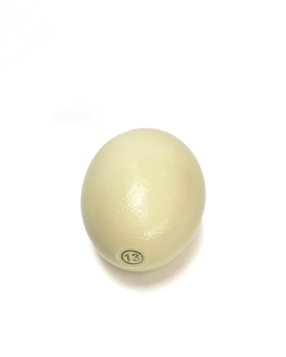 Ostrich Egg Door Stopper by Maison Martin Margiela Line 13 - Collector's Item